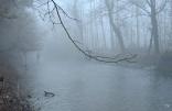 Cesare e la sua nebbia